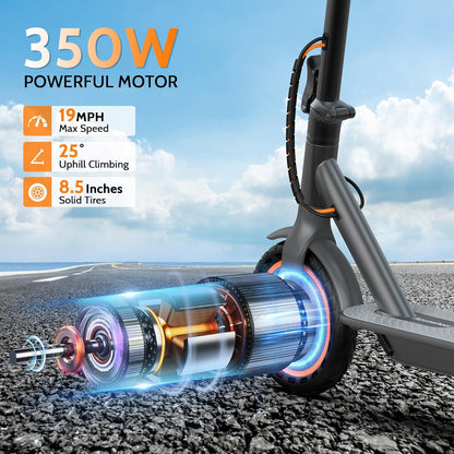 Volteazy™ Dual Boost Electric Scooter